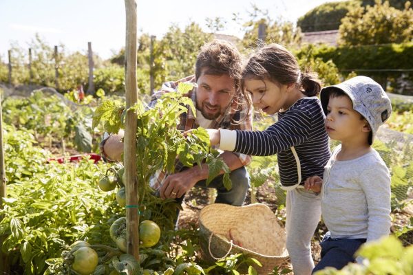 Get Lost In The Garden – And Find A Special Time For Family Bonding